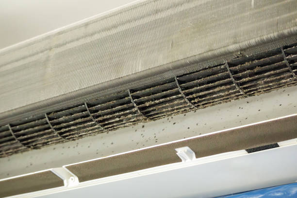 Best Ventilation System Cleaning in Centereach, NY